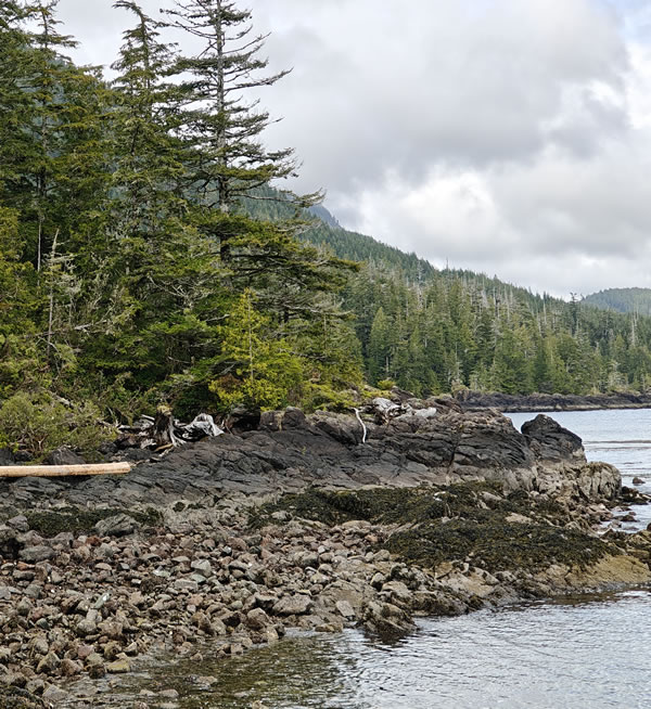Power Generating Using Micro-Hydro